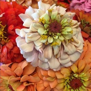 🌺Prices Dropped!🌺